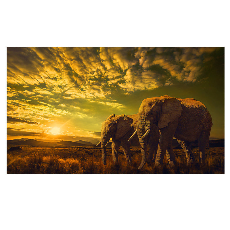 Home Simple Decorative Elephant Canvas Painting